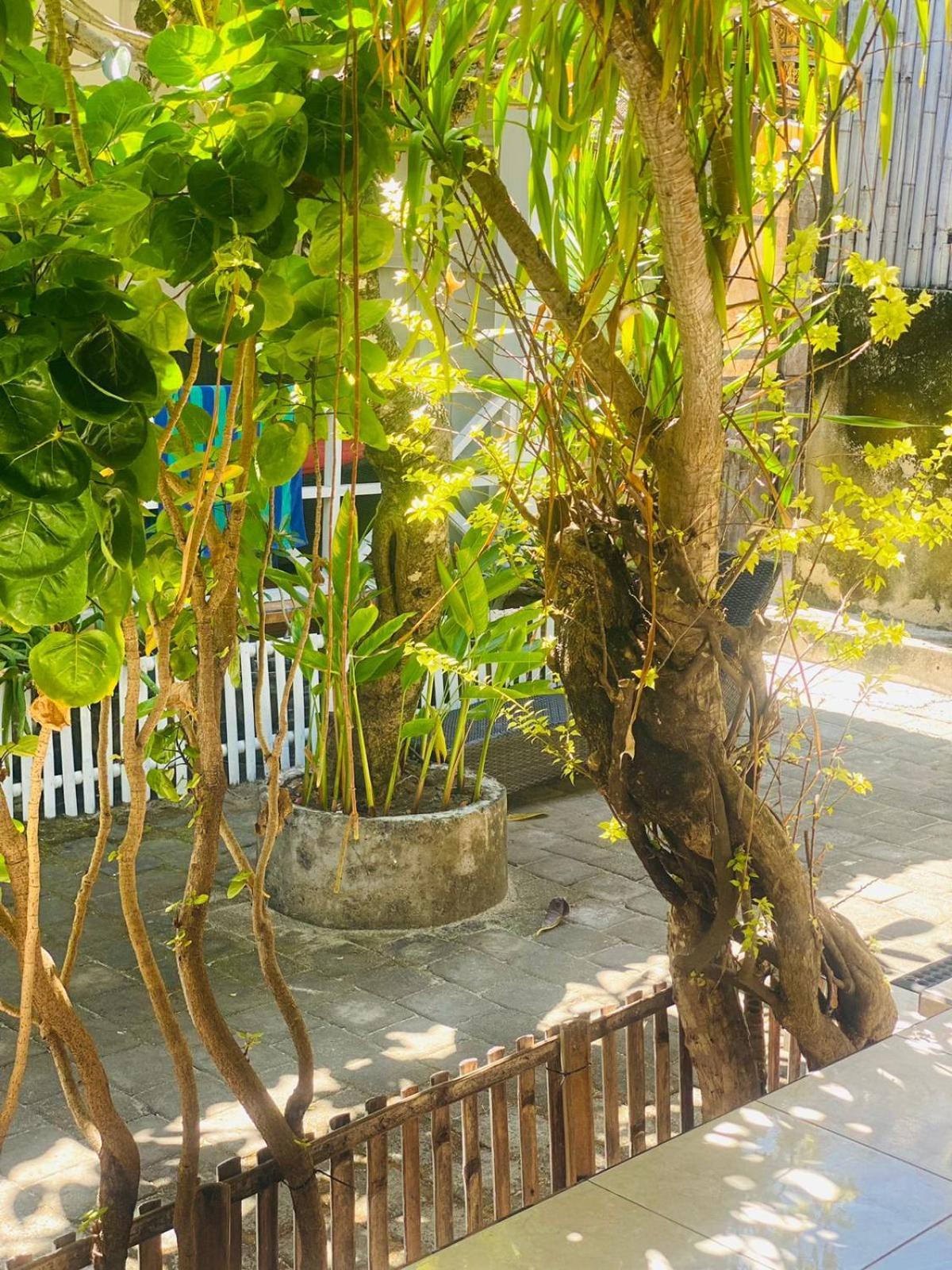 Tarci Bungalows Lembongan Exterior foto